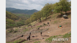 통일차관, 화살머리고지 유해발굴지 실태조사 현장 방문