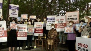 “더워보여”…대구 평화의소녀상 조형물 훼손 40대 입건