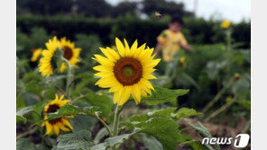 더 덥다는 올 여름…“6월초 폭염기승, 더 빠른 건 아냐”