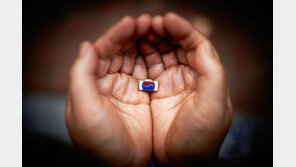 돌아오지 못한 6·25 국군 전사자, 12만 2609개 ‘태극기 배지’로 귀환