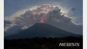 야생개에 쫓겨 우물속에 빠졌던 발리섬 관광객 6일만에 구조