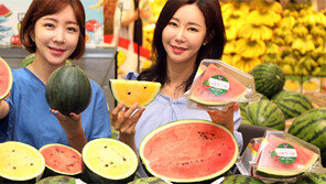 “미니 수박 맛보세요”
