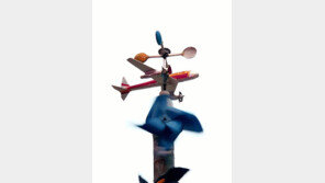 비행기 타고 가요[고양이 눈]