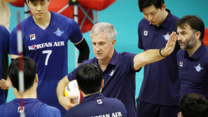 “대한항공은 좋은 수프… 소스만 조금 추가할 생각”