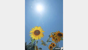 전국 곳곳 폭염특보…서울 33도 찍는다