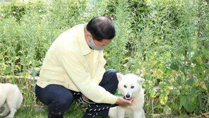 반려동물이 행복한 고양시, ‘동물복지플랜 보고회’ 성료