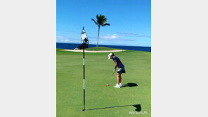 이민정, 골프 퍼팅 실패하자 남편 현실 한숨…이병헌 “아이고”