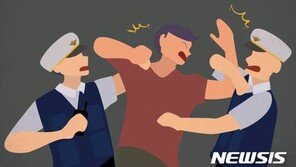 “나 KTX 기장이야” 표검사에 난동 부린 ‘기장’ 벌금 500만원