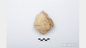 DMZ 파주 대성동 평화마을, 구석기 때도 사람 살았다…뗀석기 등 유물 발굴