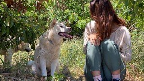 이효리 “사지 마세요, 입양하세요”…유기견들과 행복한 휴식