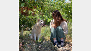 이효리 “사지 마세요 입양하세요”…유기견 입양 독려