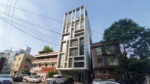 배우 하지원, 성수동 100억 건물 샀다…평당 1억2800만원