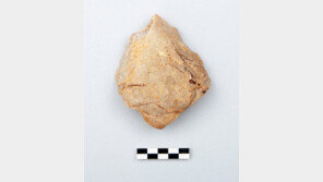 DMZ 파주 대성동 마을서 구석기 시대 뗀석기 발견