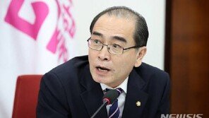 태영호, 北 ‘대적사업’ 전환에…“김정은에게는 다 계획이 있었다”