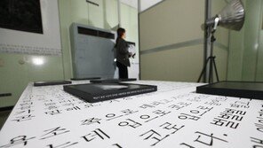 文대통령, 전태일 열사 모친 故 이소선 여사 등 12명에 훈장