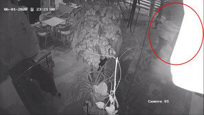 성추행 부장검사, 경찰 조사서 “술 취해 기억 안 나”