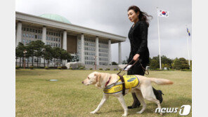 김예지 “‘안내견 거부’ 택시 20분 실랑이에 입닫은 공무원 한심”