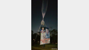 北이 욕한 ‘전단 살포’ 단체 2곳, 정부가 고발→허가 취소 착수