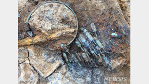 김해 가야시대 대성동고분군서 ‘청동 화살촉’ 무더기 발굴