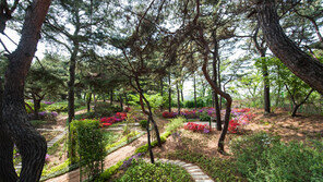 한국마사회, 경마공원에 ‘馬 특화 산책로’ 조성한다