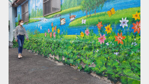 예쁜 벽화 감상