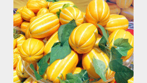 스트레스 쌓이는 요즘, 제철 과일 참외로 달콤 UP 건강 UP