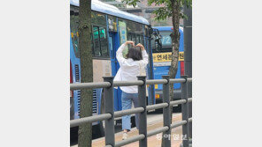 친구야 잘 가[고양이 눈]