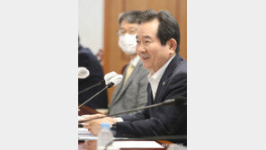 丁총리 “비대면 산업 각광…상승 기류 타면 크게 성장”