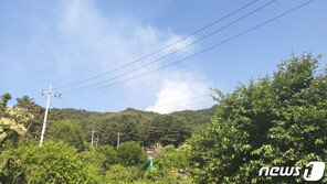 춘천 월곡리 인근 야산서 화재…약 2시간 만에 완진