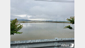 내륙 호우특보 모두 해제…제주만 천둥번개 시간당30㎜ 강한 비