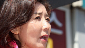 서울대, 나경원 아들 연구발표문 1저자 논란 “문제 없다”