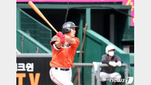 “화도 많이 났는데 이젠 후련”…한화 팬들 19연패 탈출에 환호