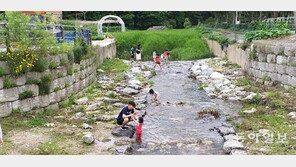 도심 개울가 물놀이