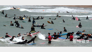 바람 불어 좋은 날, 파도 타니 신난 날