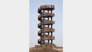 빙글빙글[고양이 눈]