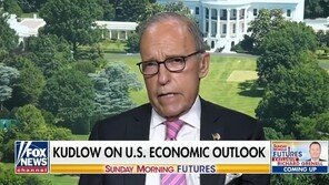 커들로 “美 경제 회복 국면…강력한 V자 회복 볼 것”