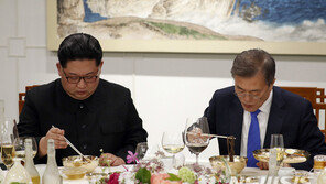 하태경 “靑 헛다리, 삐라 아닌 文타깃…옥류관 주방장까지”