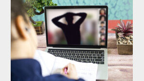 고교 온라인 수업중에 불쑥 성기 노출한 10대 검거