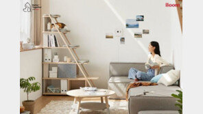 펫콕족 증가에 일룸 ‘캐스터네츠’ 매출 2배 껑충