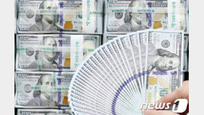 5월 달러화예금 잔액 699억달러 26개월만에 최대…3개월째 증가