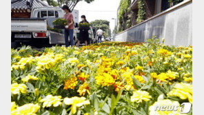 [날씨] 16일 오후 6시 넘어야 30도 아래로…일부지역 비