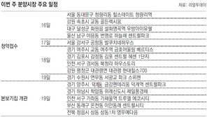 [부동산 캘린더]전국 19개 단지 6198채 청약접수… 본보기집 5곳 오픈