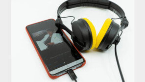 [리뷰] 음악을 좋아하는 600명에게... 젠하이저 HD 25 한정판