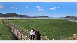 [지금 내 고향에선]‘생명의 보고’ 강진만, 생태공원으로 바뀐다