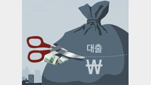 정부, “집값 상승 원천 차단”… 17개 지역 투기과열 지구 지정