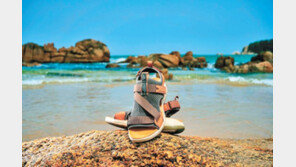 샌들? 운동화?… 멀티 아쿠아 슈즈!