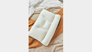 [2020 한국우수브랜드평가대상]목이 편한 우유베개, 15만개 판매 달성