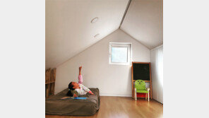 내 집을 지으며, 나의 건축 일을 돌아보다