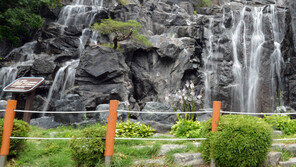 정은경 “코로나19는 온도변화와 관계 없이 장기화 전망”