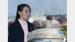 정부 “북한 김여정 위상, 시간을 두고 관찰할 것”